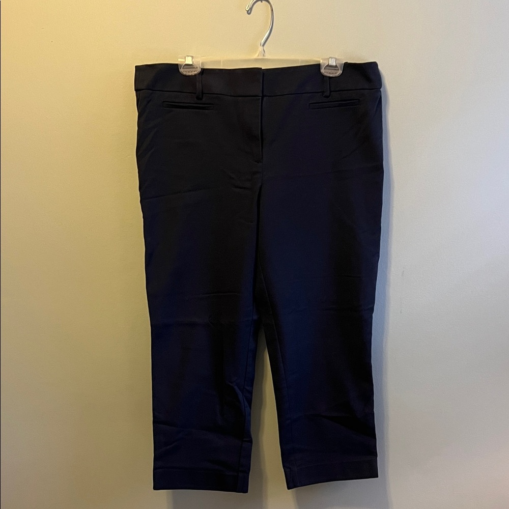 LOFT Navy Capris